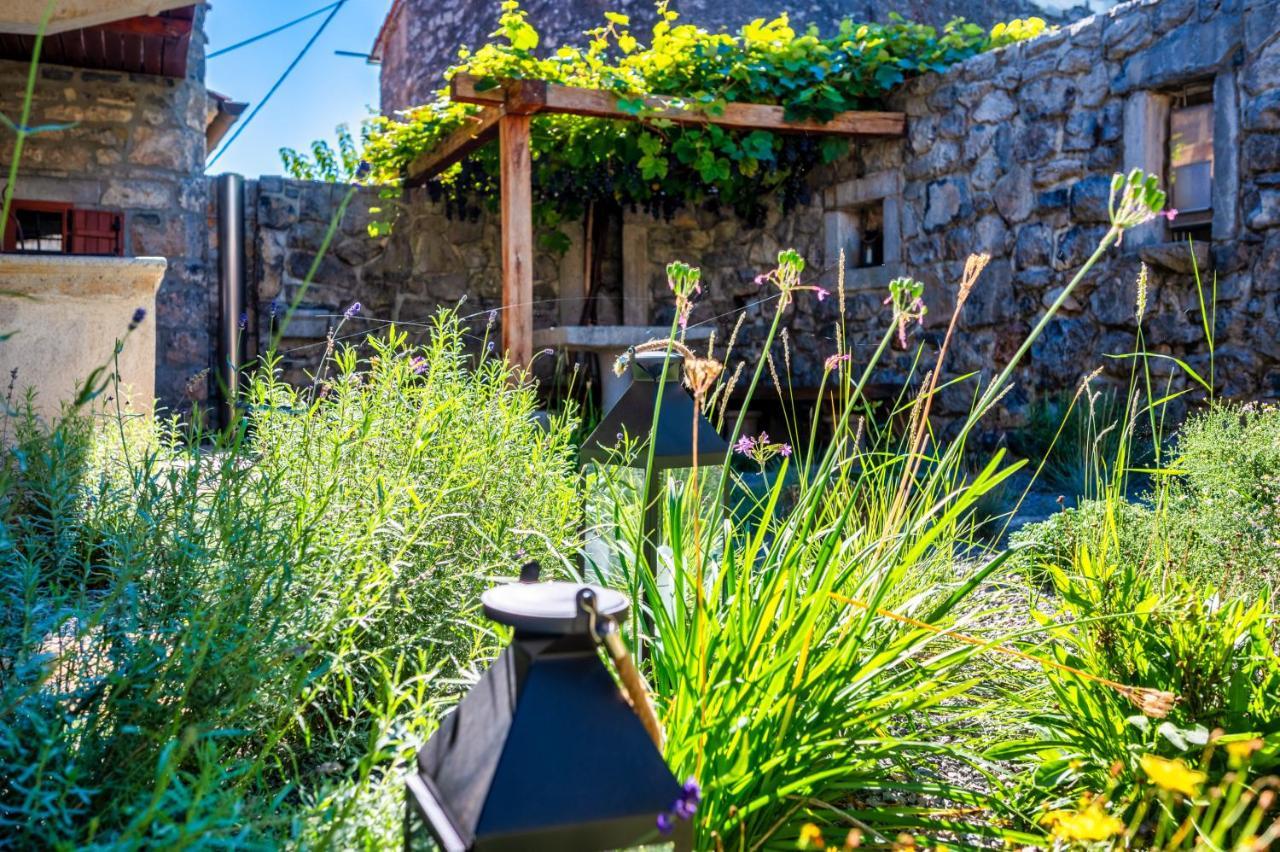 Vila Karst house Žan Pliskovica Dutovlje Exteriér fotografie